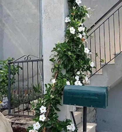 Gospodarstwo agroturystyczne Vecchio Frantoio *