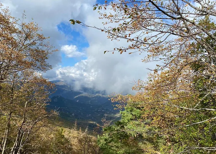 Vecchio Frantoio Farm stay Villatella