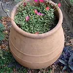 Vecchio Frantoio