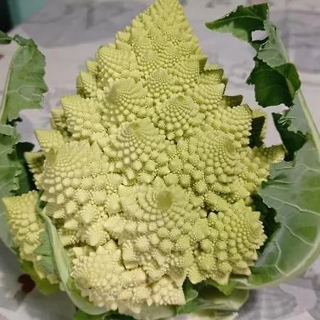 Séjour à la ferme Vecchio Frantoio *