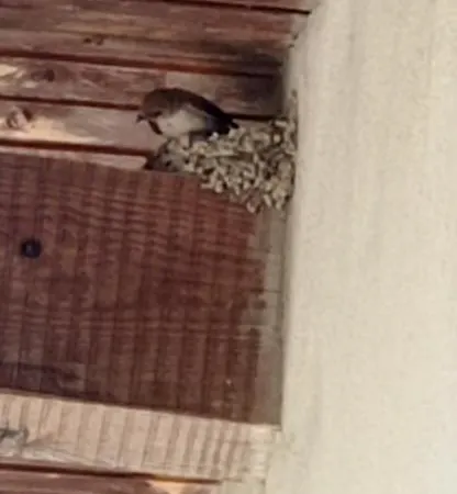 Séjour à la ferme Vecchio Frantoio Villatella