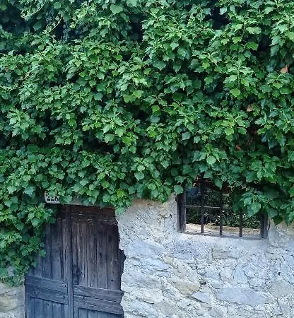 Farm stay Vecchio Frantoio Villatella