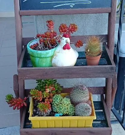 Séjour à la ferme Vecchio Frantoio Villatella