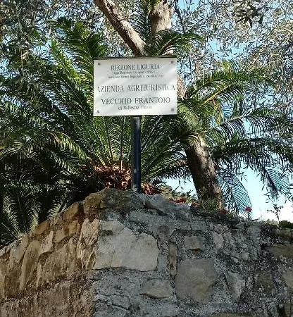 Vecchio Frantoio
