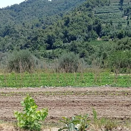 Vecchio Frantoio * Villatella
