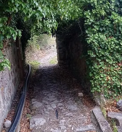 Feriegård Vecchio Frantoio *