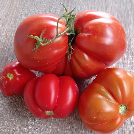 Vecchio Frantoio Farmház *