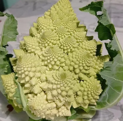 Farmház Vecchio Frantoio *