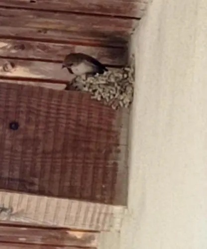 Farmház Vecchio Frantoio Villatella