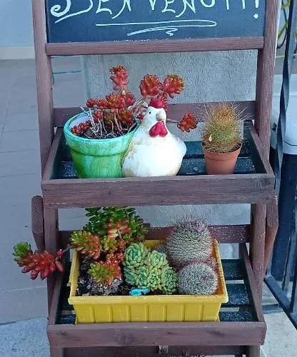 Farmház Vecchio Frantoio Villatella