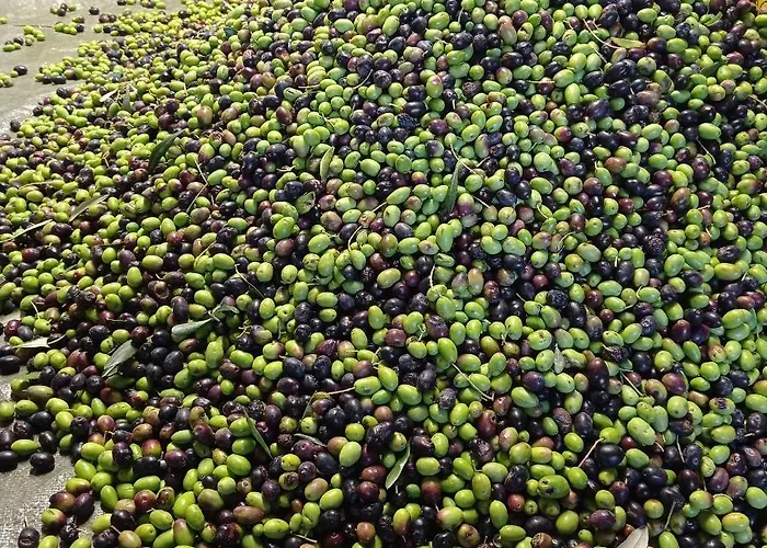 Vecchio Frantoio Farmház Villatella