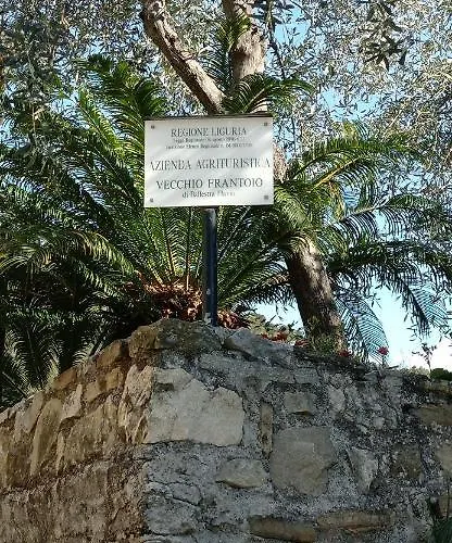 Vecchio Frantoio