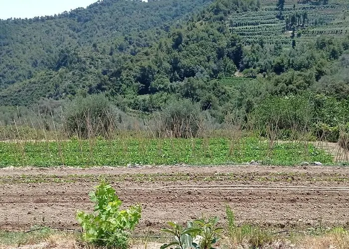 Vecchio Frantoio * Villatella