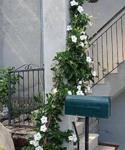 Farmház Vecchio Frantoio *