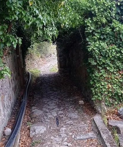 Farmház Vecchio Frantoio *