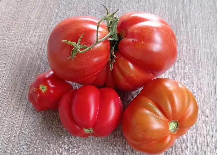 Vecchio Frantoio Farmház *